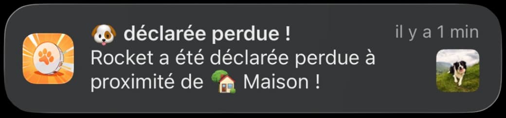 animalert app notification