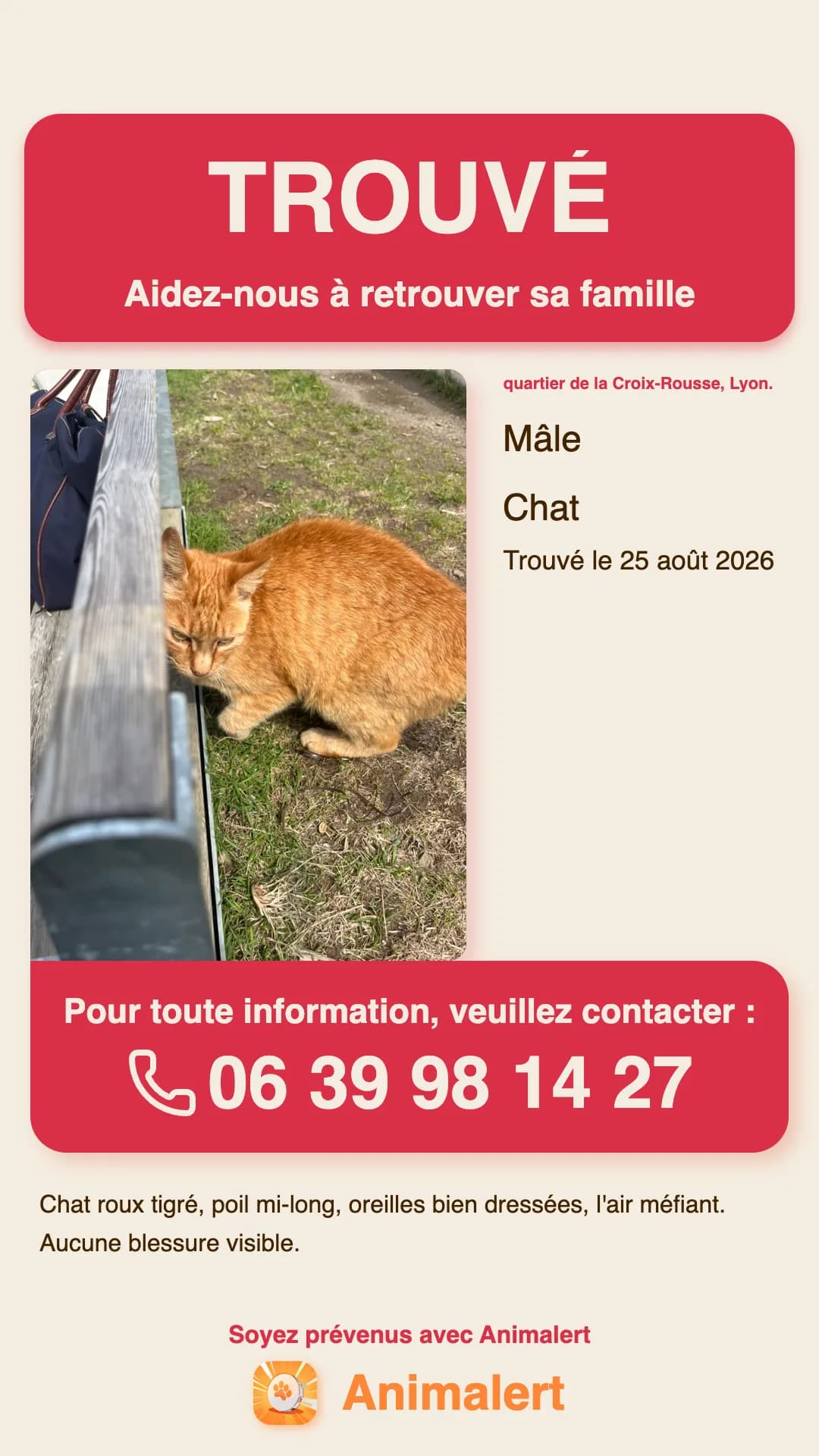 Exemple d'affiche pour chat trouvé créée avec Animalert : chat roux tigré trouvé à Lyon, modèle couleur gratuit à imprimer