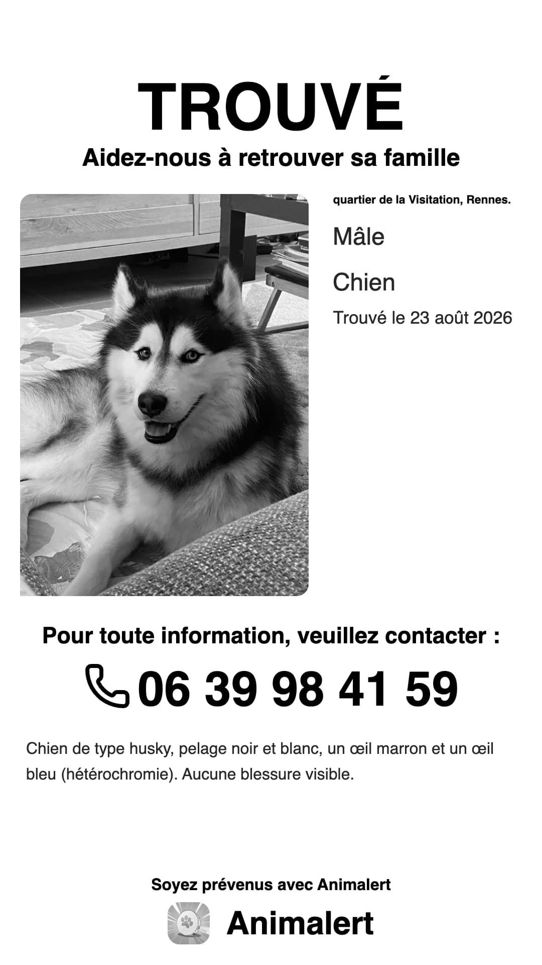 Affiche de husky trouvé en noir et blanc, prête à imprimer : trouvé à Rennes