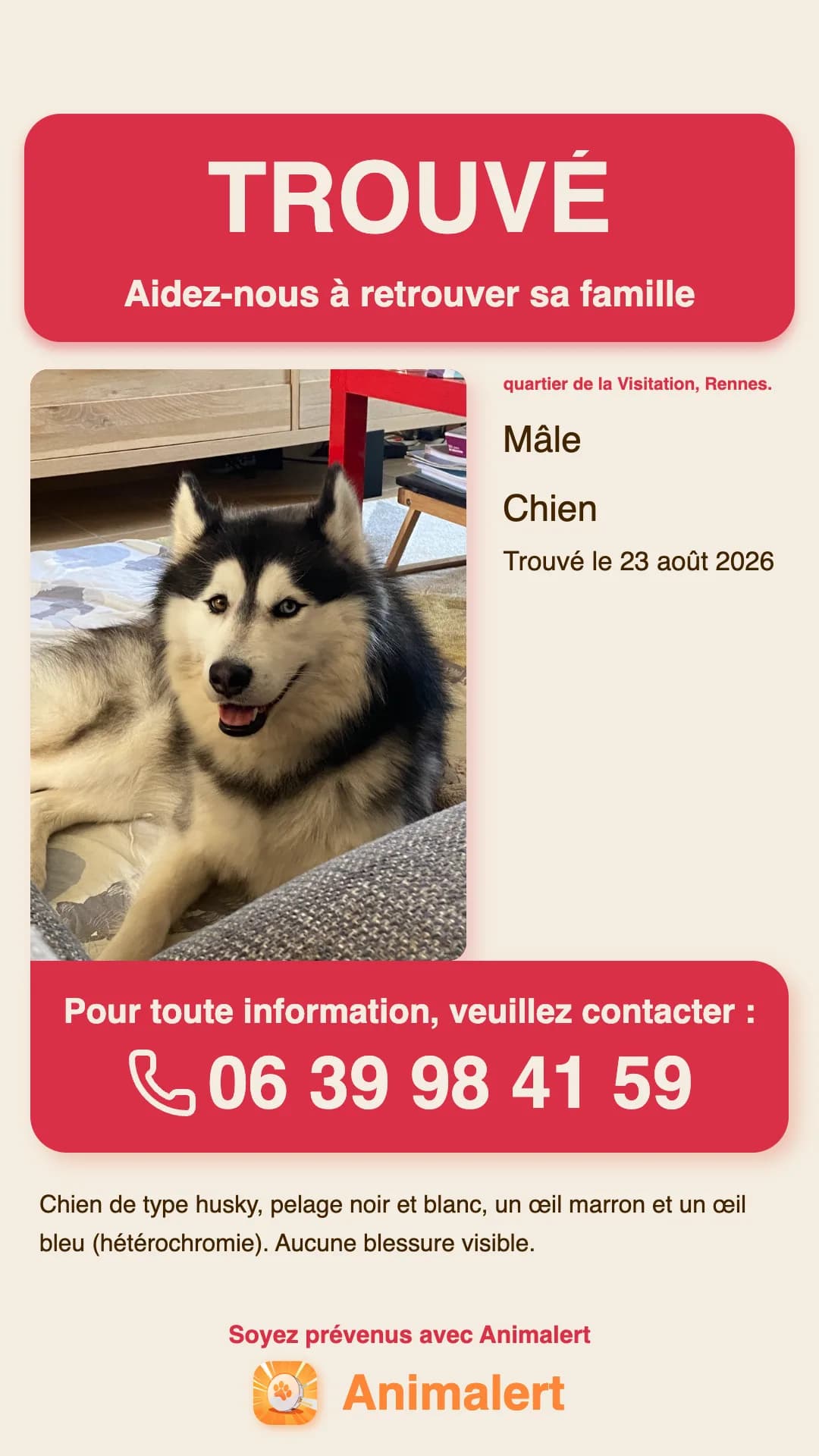 Affiche de chien trouvé à imprimer : husky trouvé à Rennes, modèle couleur gratuit Animalert