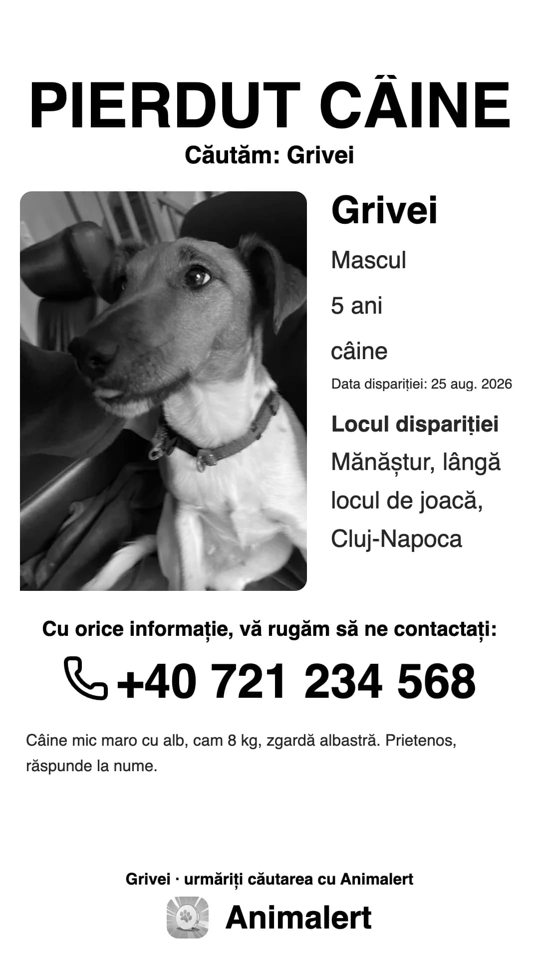 Afiș alb-negru pentru un câine pierdut, pentru imprimanta de acasă