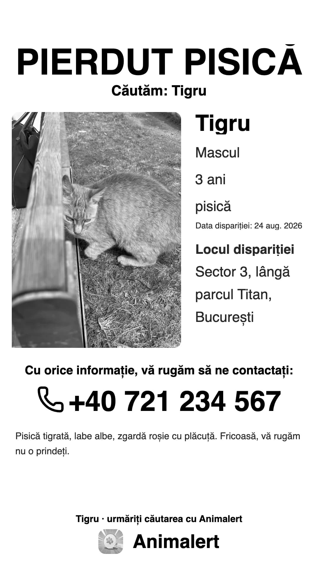 Afiș alb-negru pentru o pisică pierdută, pentru imprimanta de acasă