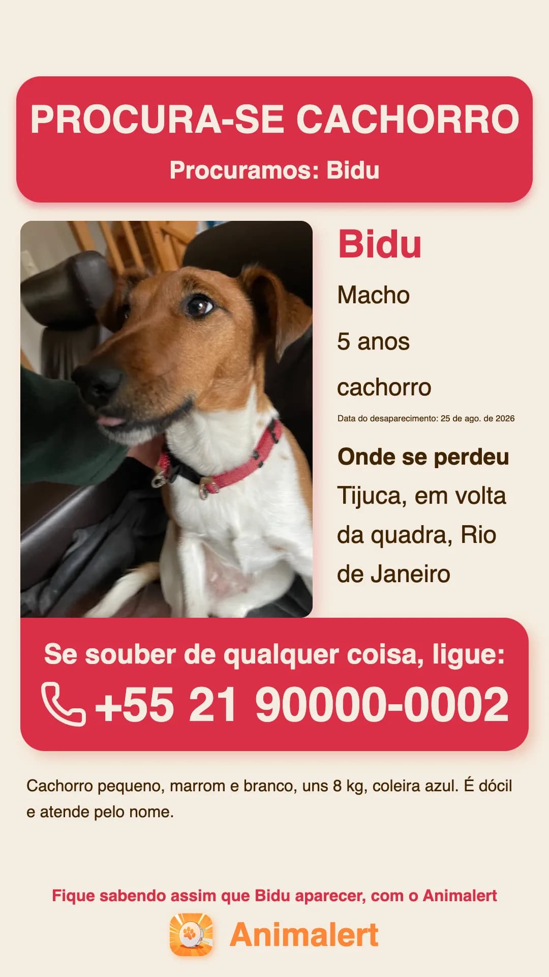Cartaz de cachorro perdido para imprimir, exemplo do Rio de Janeiro