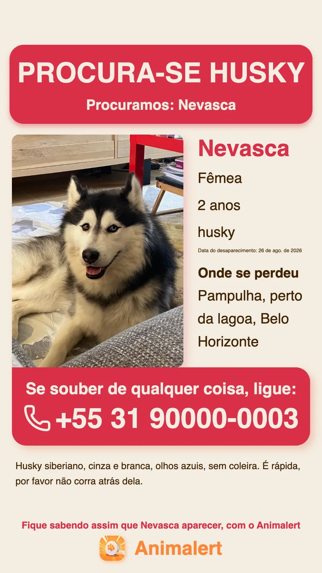 Cartaz de husky perdido para imprimir, exemplo de Belo Horizonte