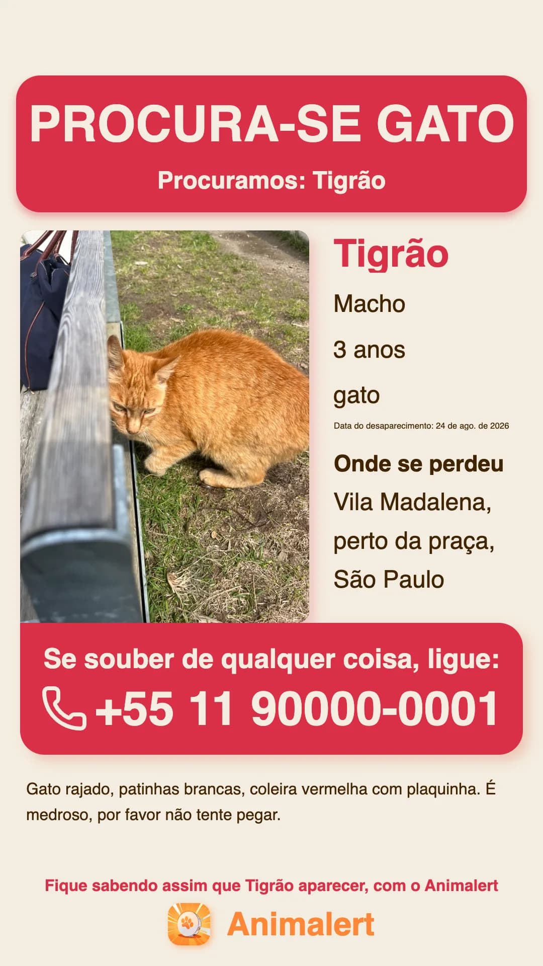 Cartaz de gato perdido para imprimir, exemplo de São Paulo