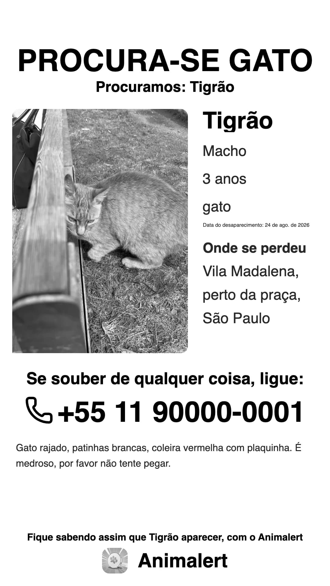Cartaz de gato perdido em preto e branco para a impressora de casa