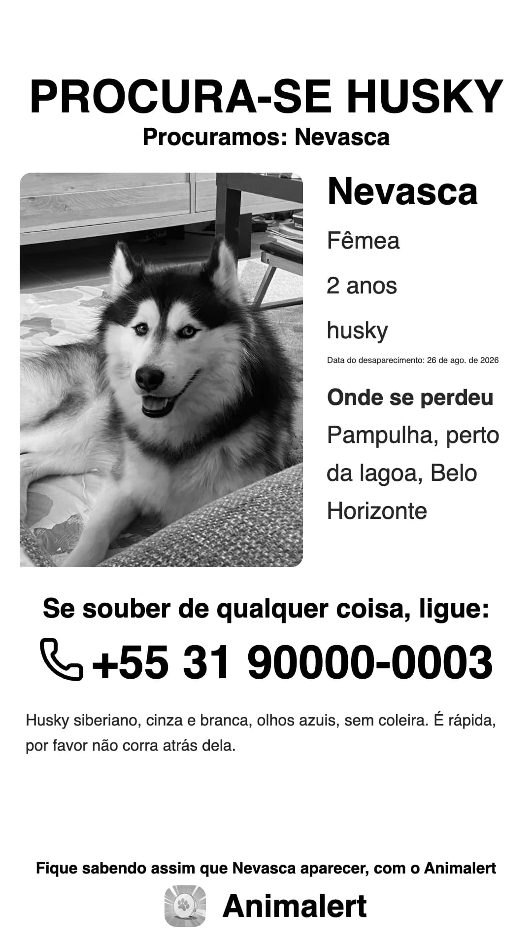 Cartaz de husky perdido em preto e branco para a impressora de casa