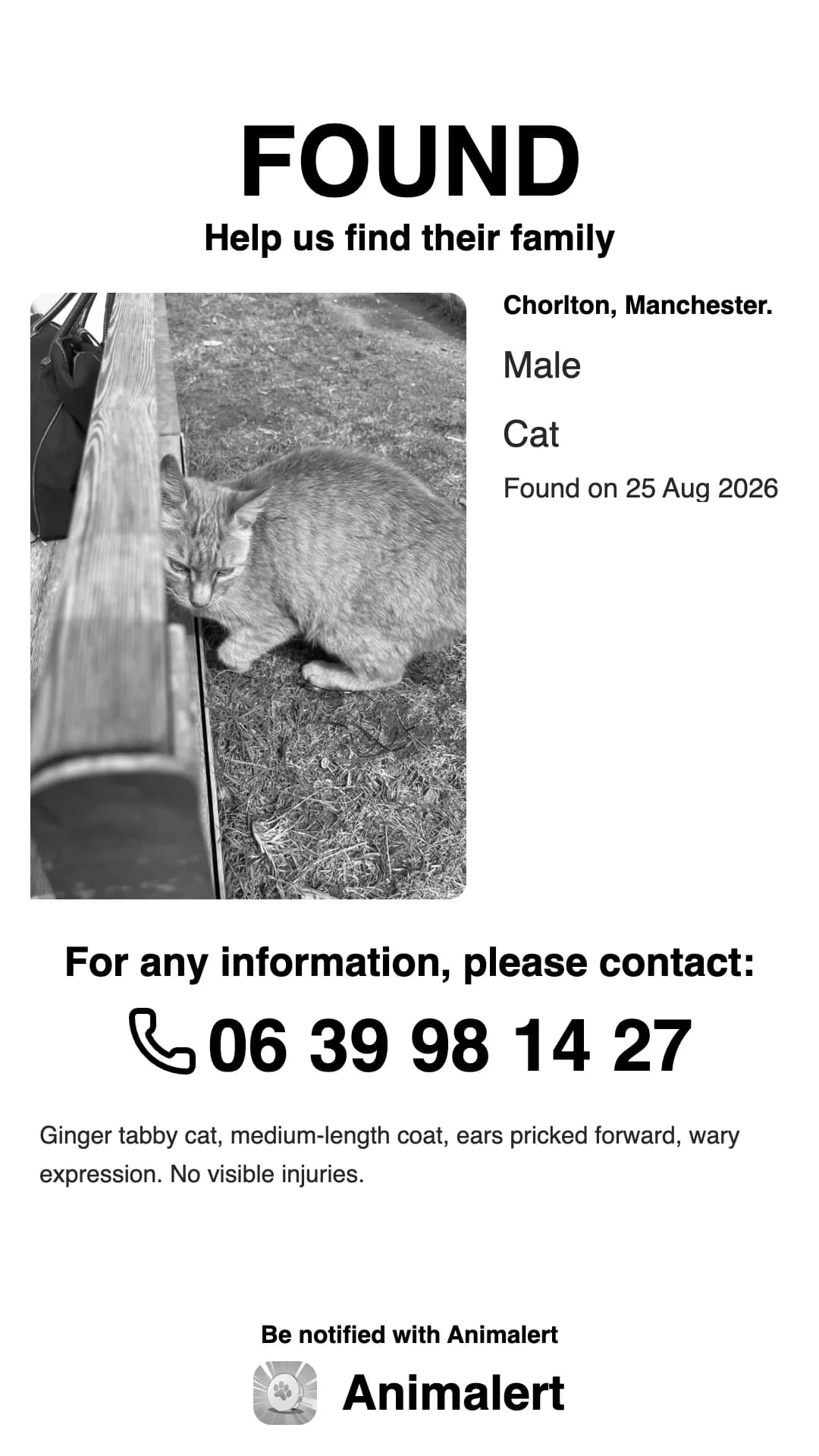 Found cat poster in black and white, cheaper to print: ginger tabby cat found in Manchester
