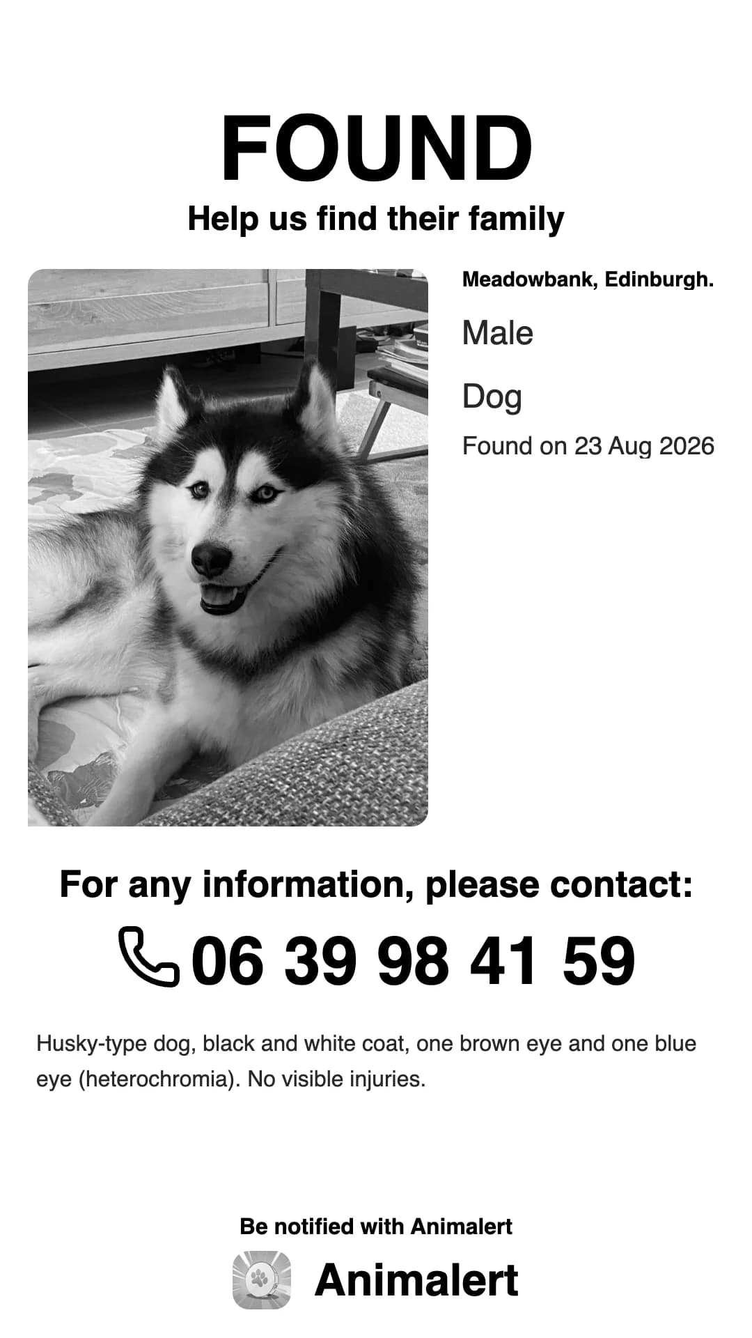 Found husky poster in black and white, ready to print: found in Edinburgh