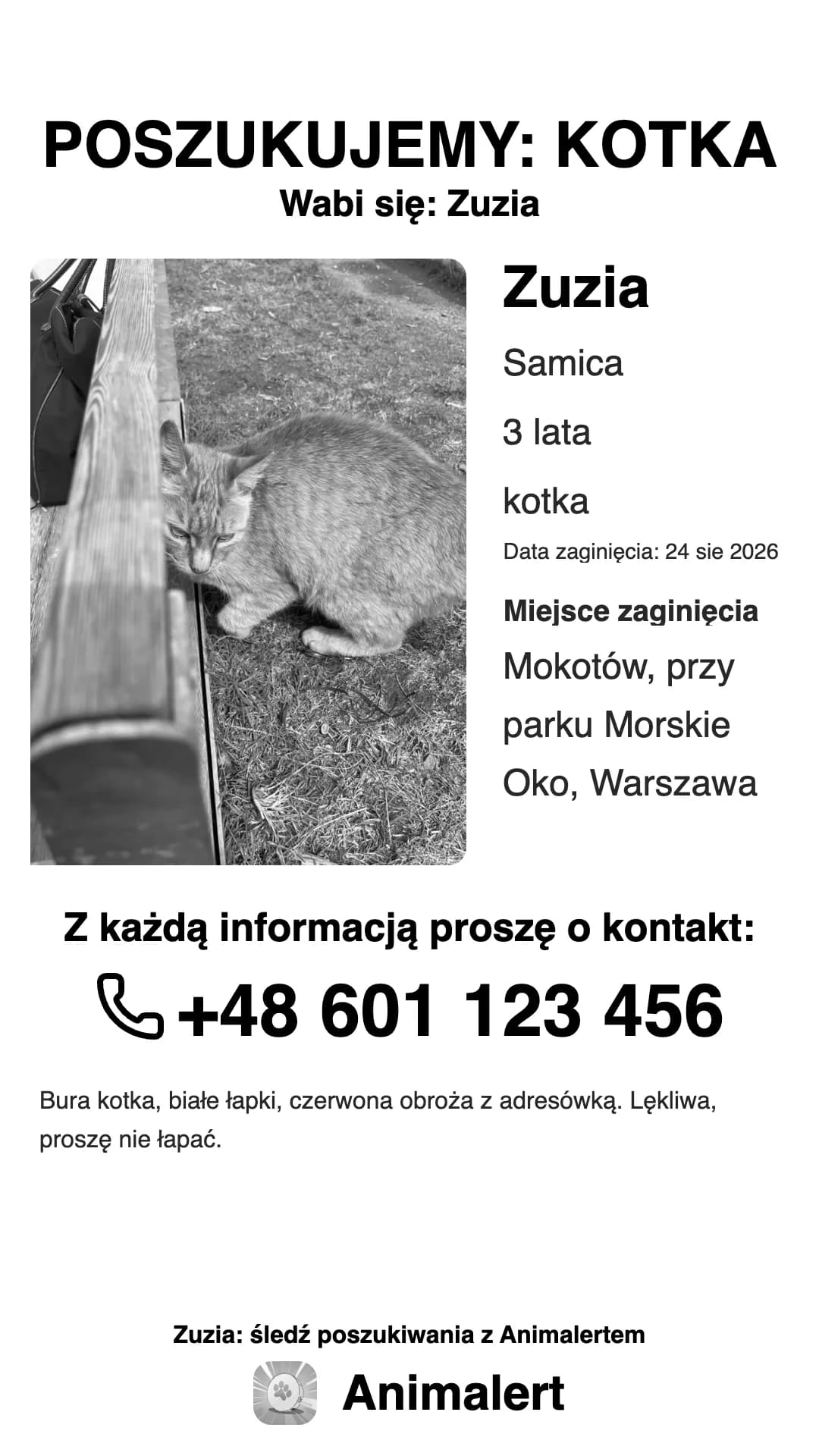 Czarno-biały plakat o zaginionym kocie do domowej drukarki
