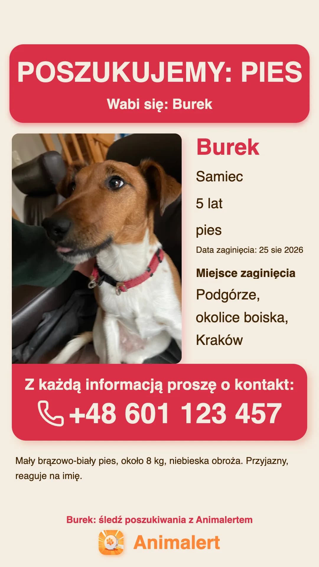 Plakat o zaginionym psie do wydruku, przykład z Krakowa