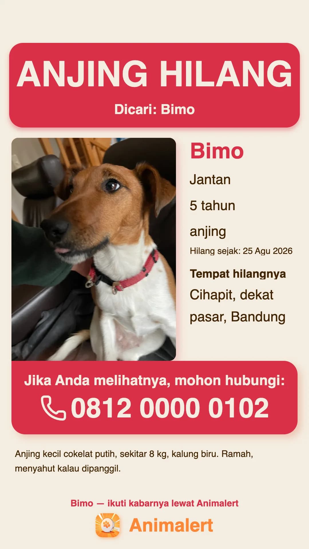 Poster anjing hilang siap cetak, contoh dari Bandung