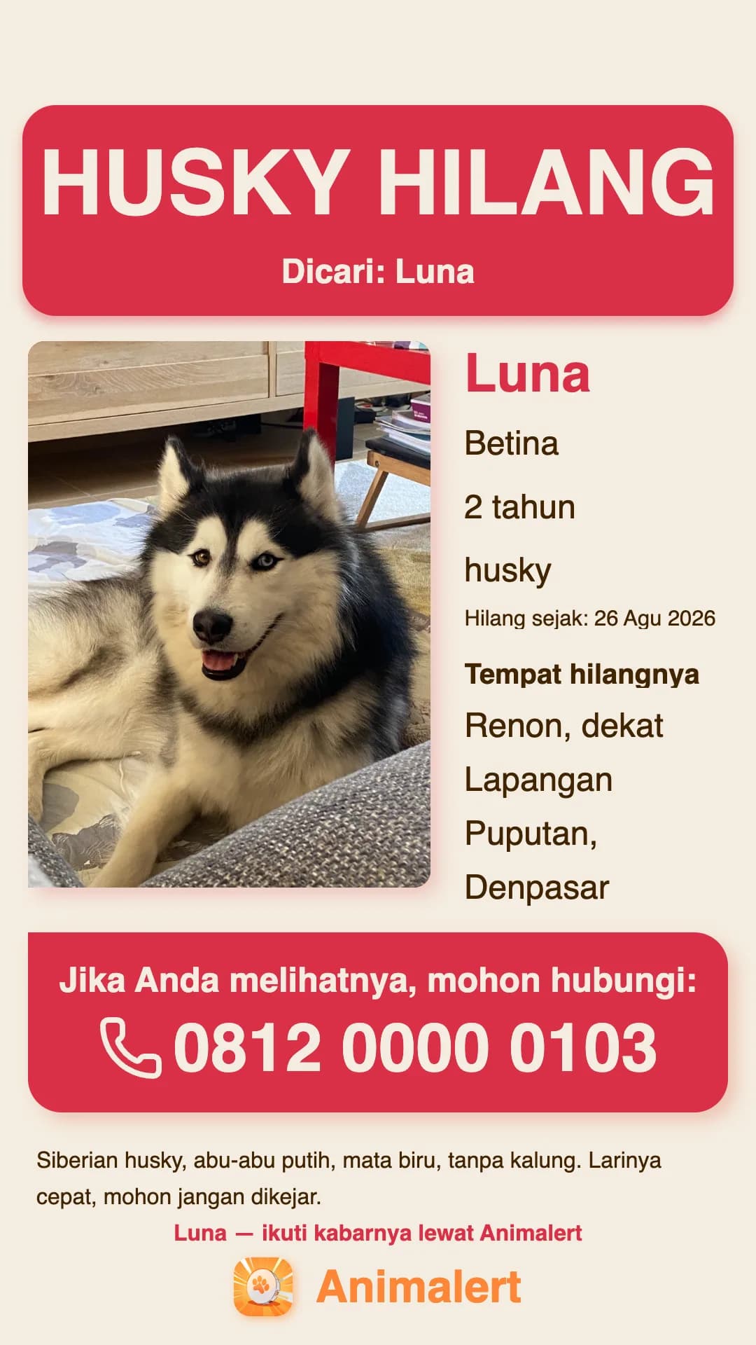 Poster husky hilang siap cetak, contoh dari Denpasar