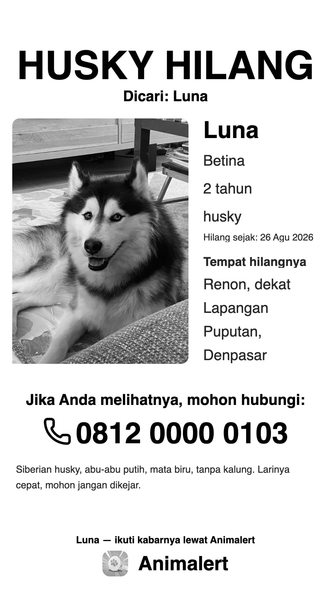Poster husky hilang hitam putih untuk printer rumahan