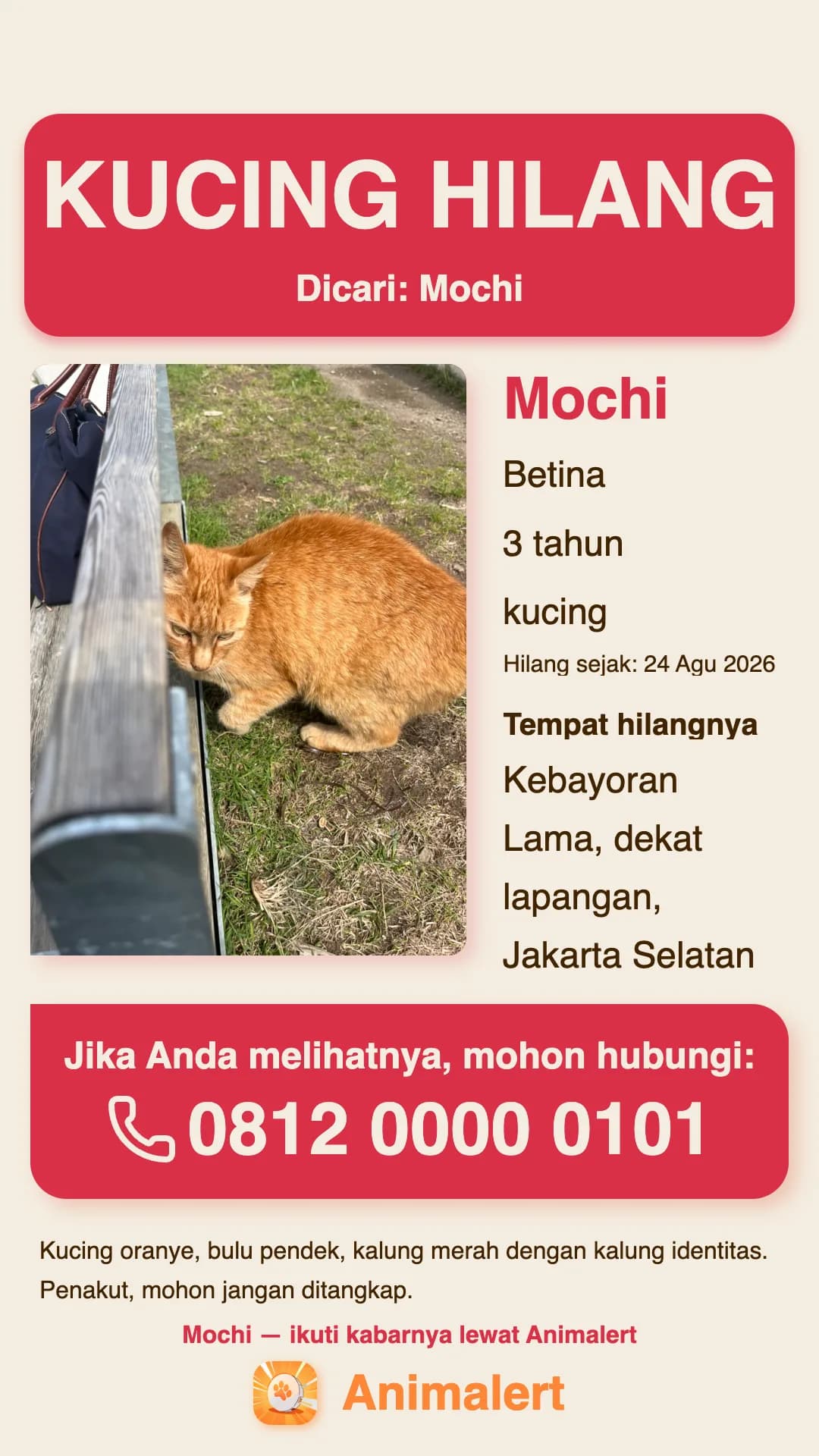 Poster kucing hilang siap cetak, contoh dari Jakarta