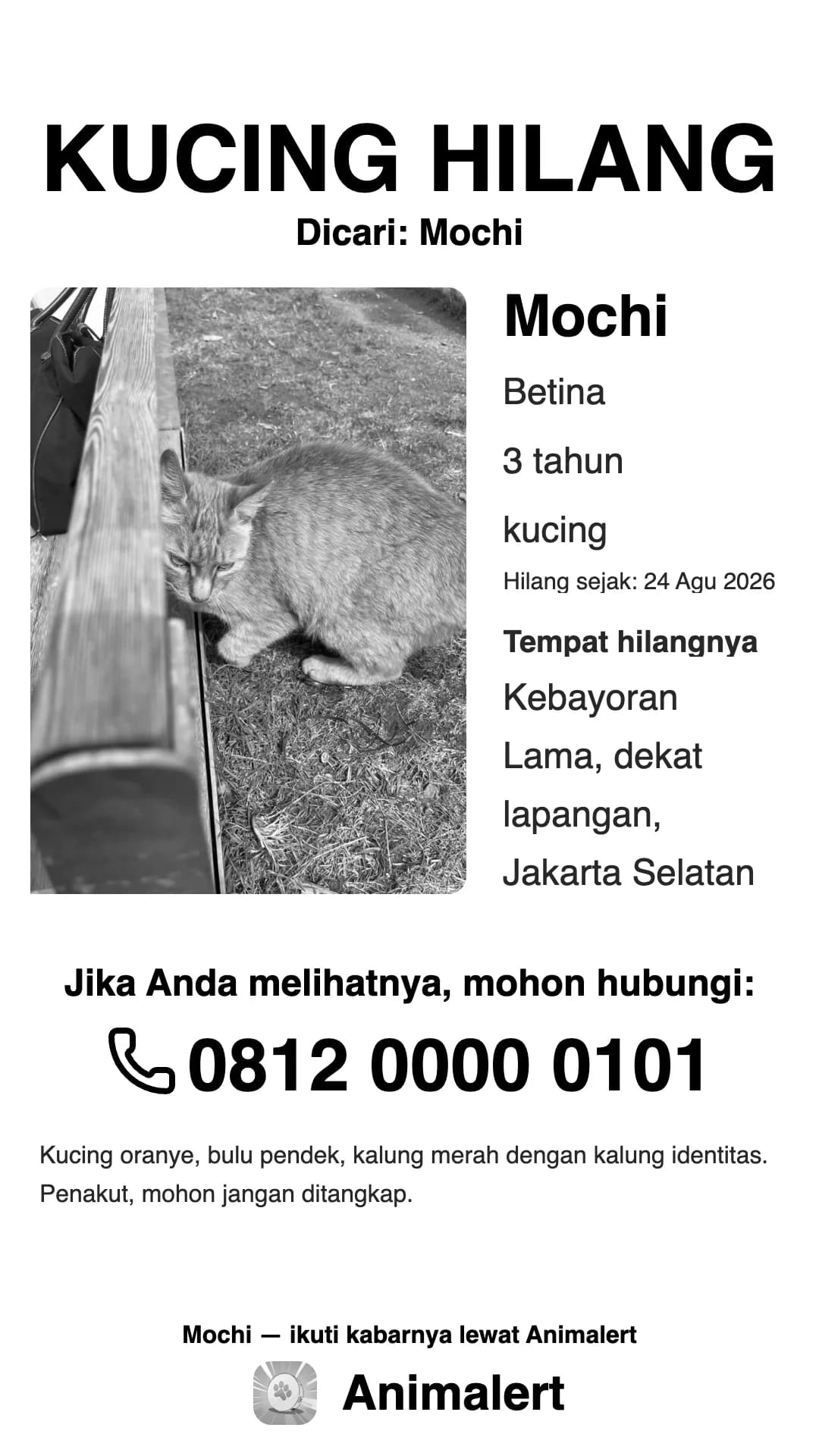 Poster kucing hilang hitam putih untuk printer rumahan