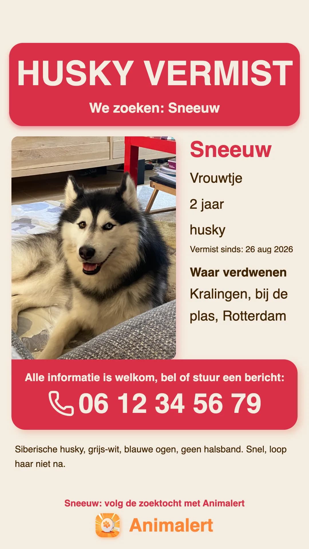 Poster vermiste husky om te printen, voorbeeld uit Rotterdam