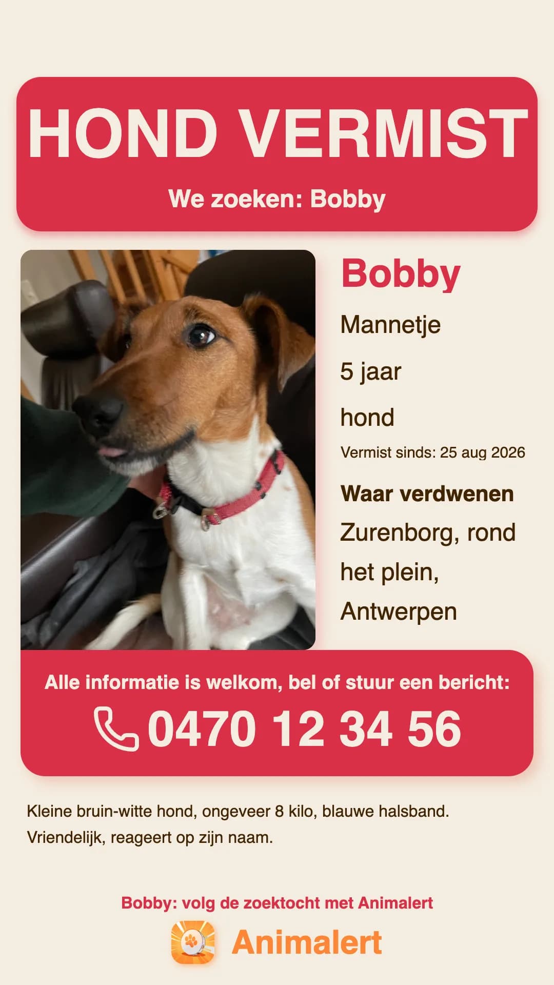 Poster vermiste hond om te printen, voorbeeld uit Antwerpen
