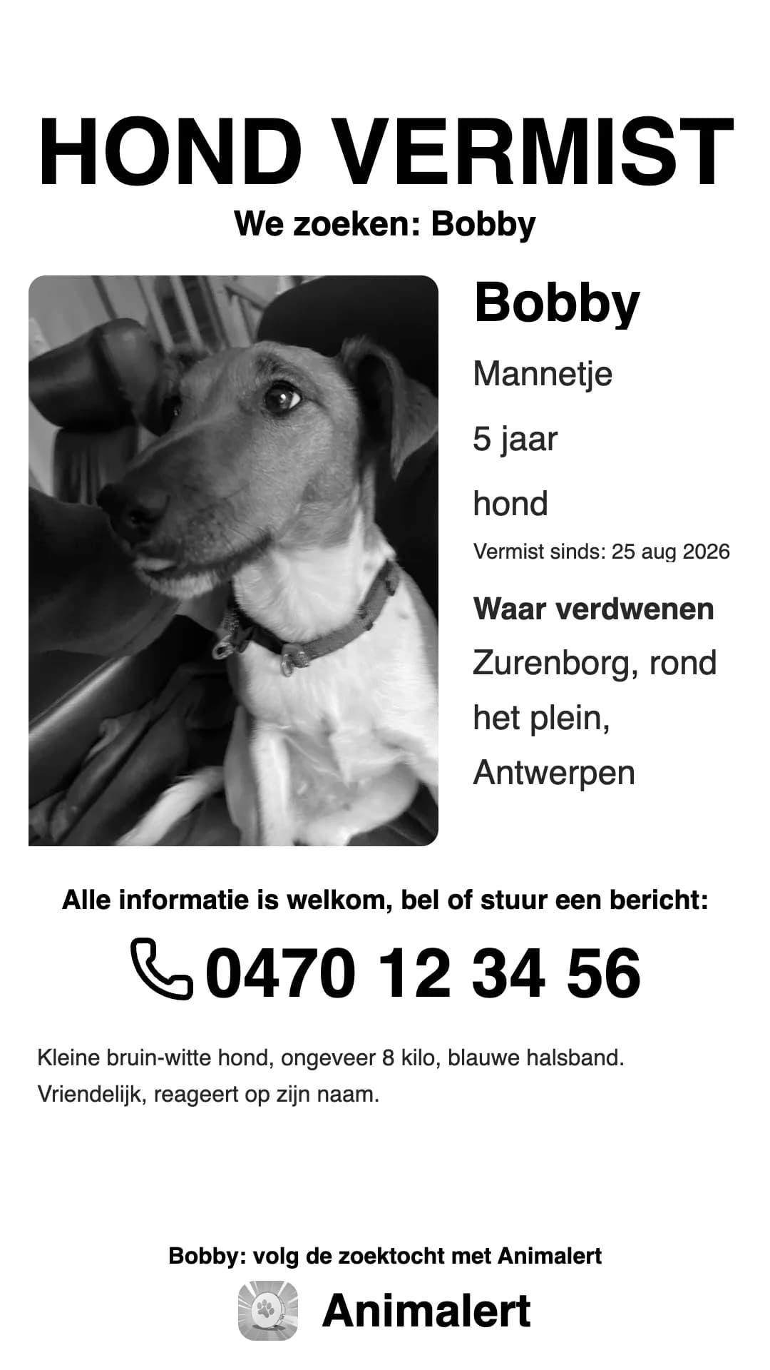Zwart-witte poster vermiste hond voor de printer thuis