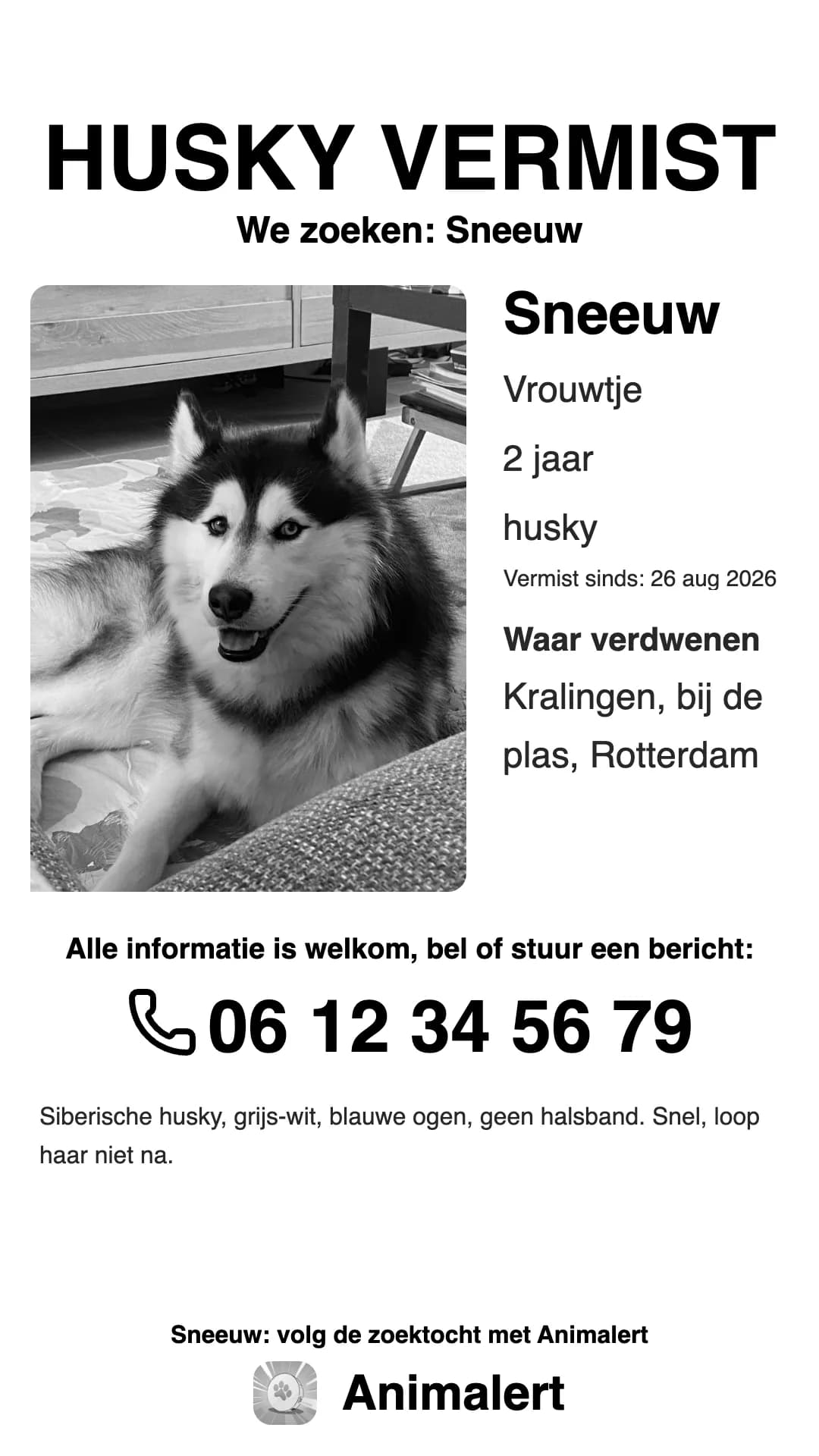 Zwart-witte poster vermiste husky voor de printer thuis