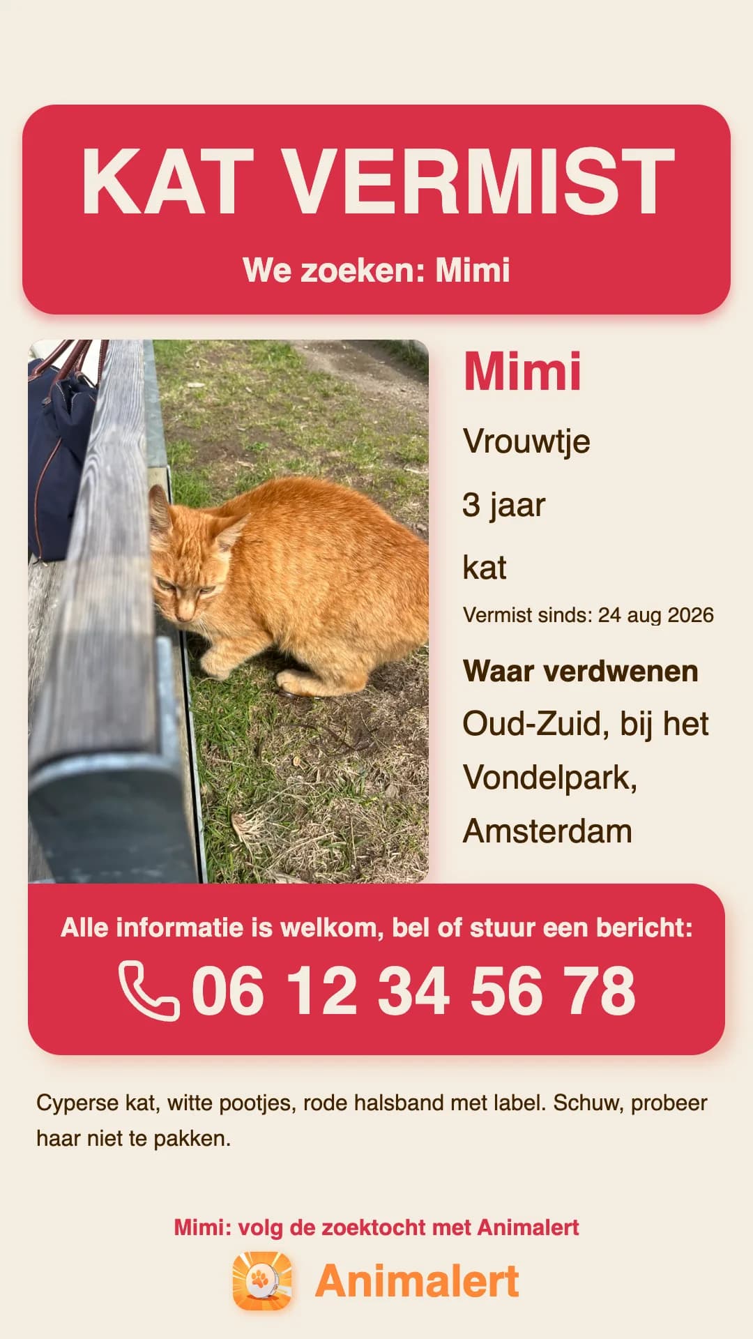 Poster vermiste kat om te printen, voorbeeld uit Amsterdam
