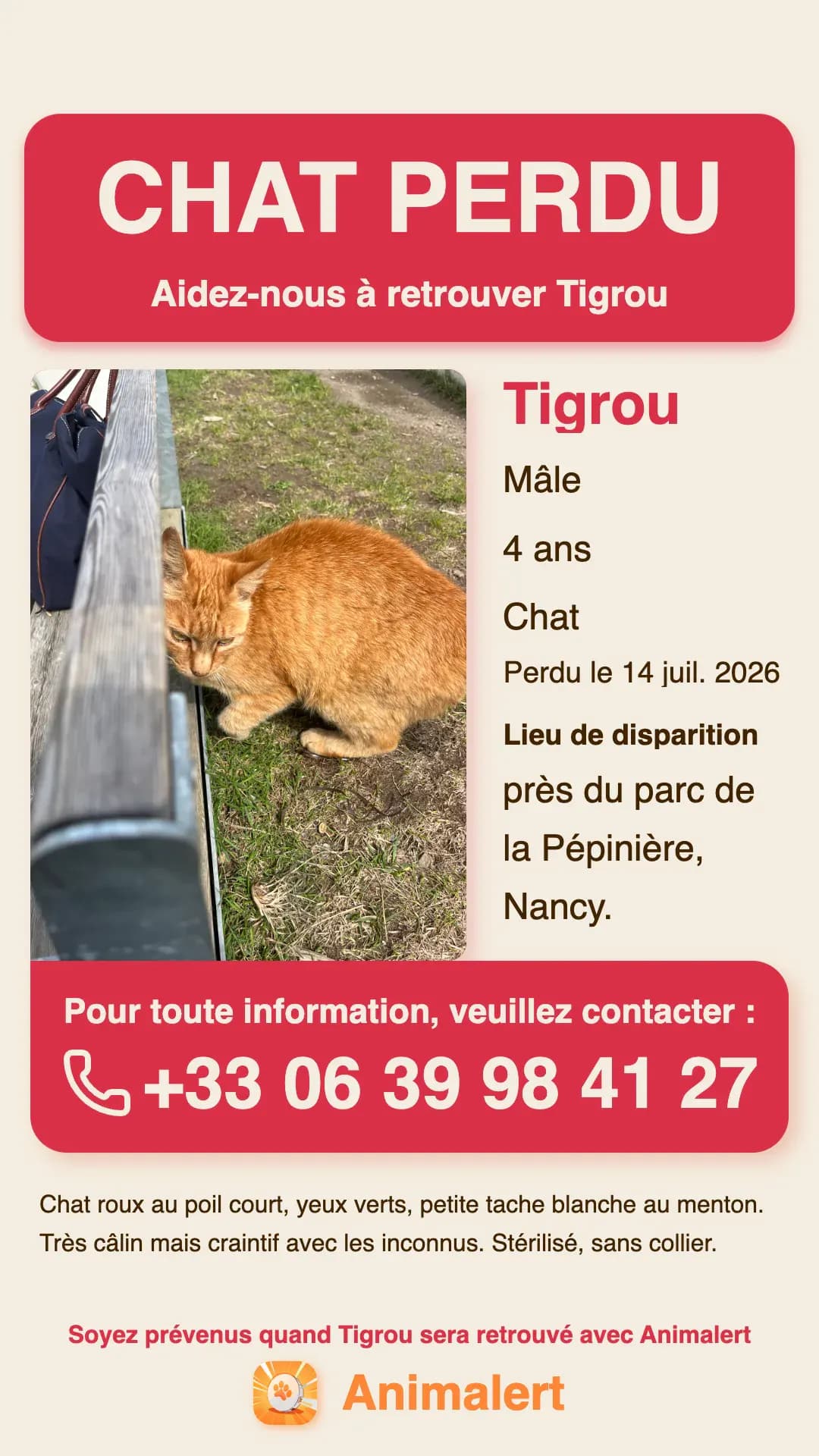Ejemplo de cartel de gato perdido creado con Animalert: Tigrou, gato atigrado naranja perdido en Nancy, plantilla en color gratis para imprimir