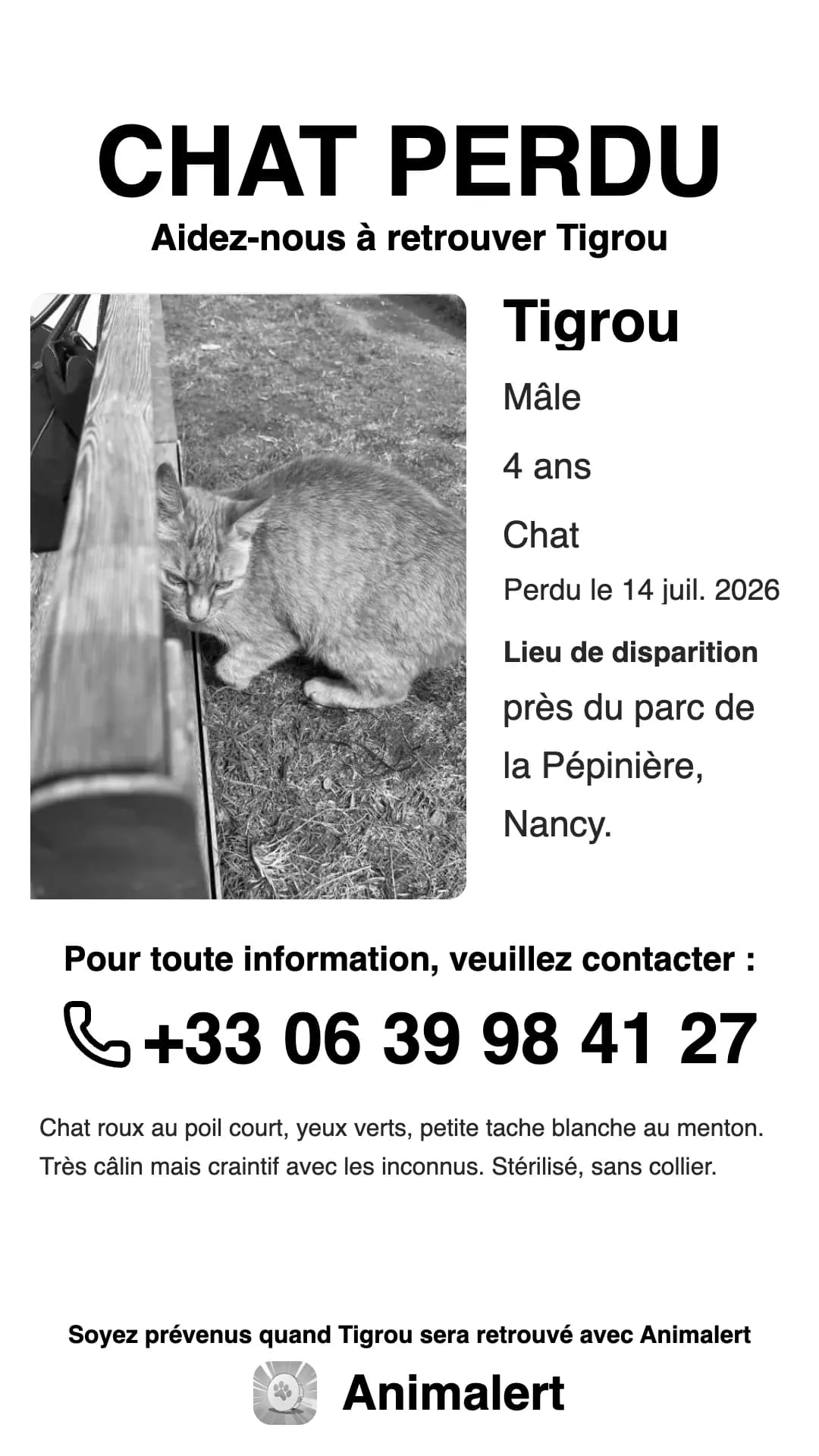 Cartel de gato perdido en blanco y negro, más económico de imprimir: Tigrou, gato atigrado naranja perdido en Nancy