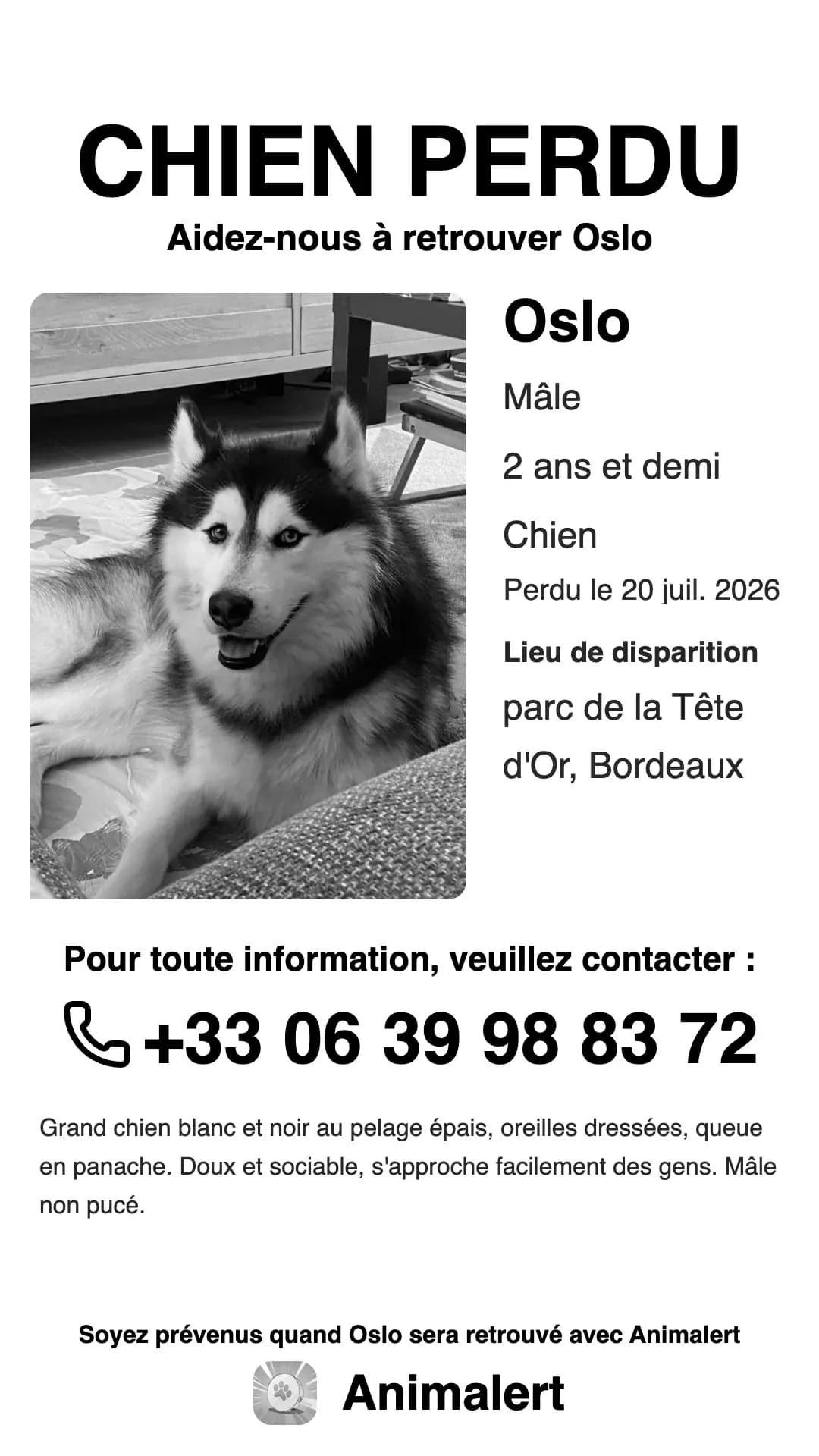 Cartel de husky perdido en blanco y negro, listo para imprimir: Oslo, perdido en Burdeos