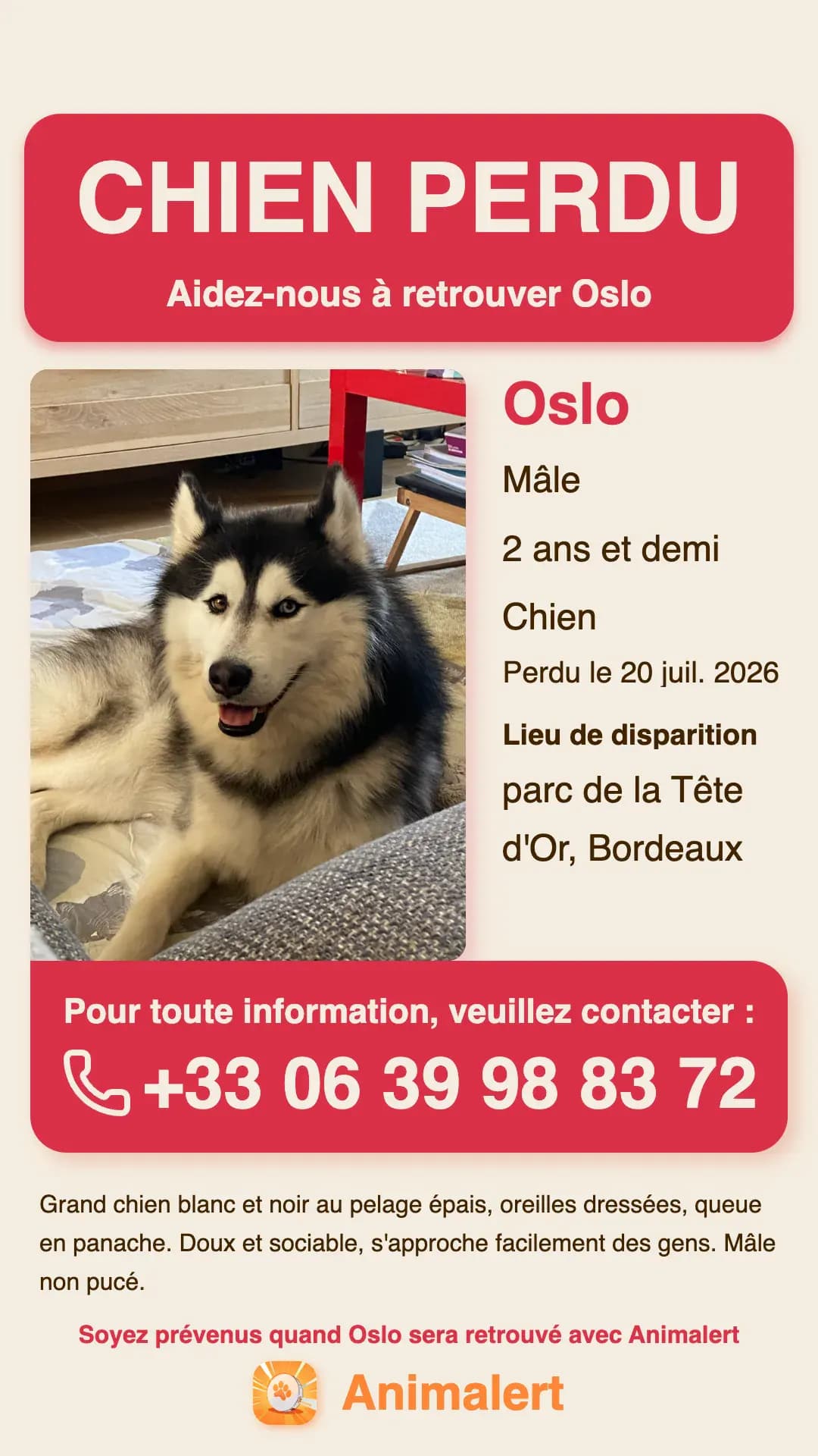Cartel de perro perdido para imprimir: Oslo, husky perdido en Burdeos, plantilla en color gratis de Animalert