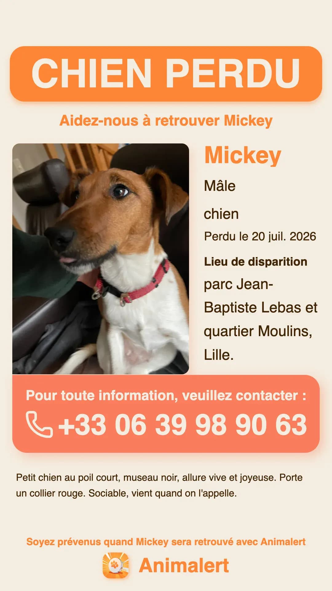 Ejemplo de cartel de perro perdido creado con Animalert: Mickey, perro pequeño con collar rojo perdido en Lille, plantilla en color gratis