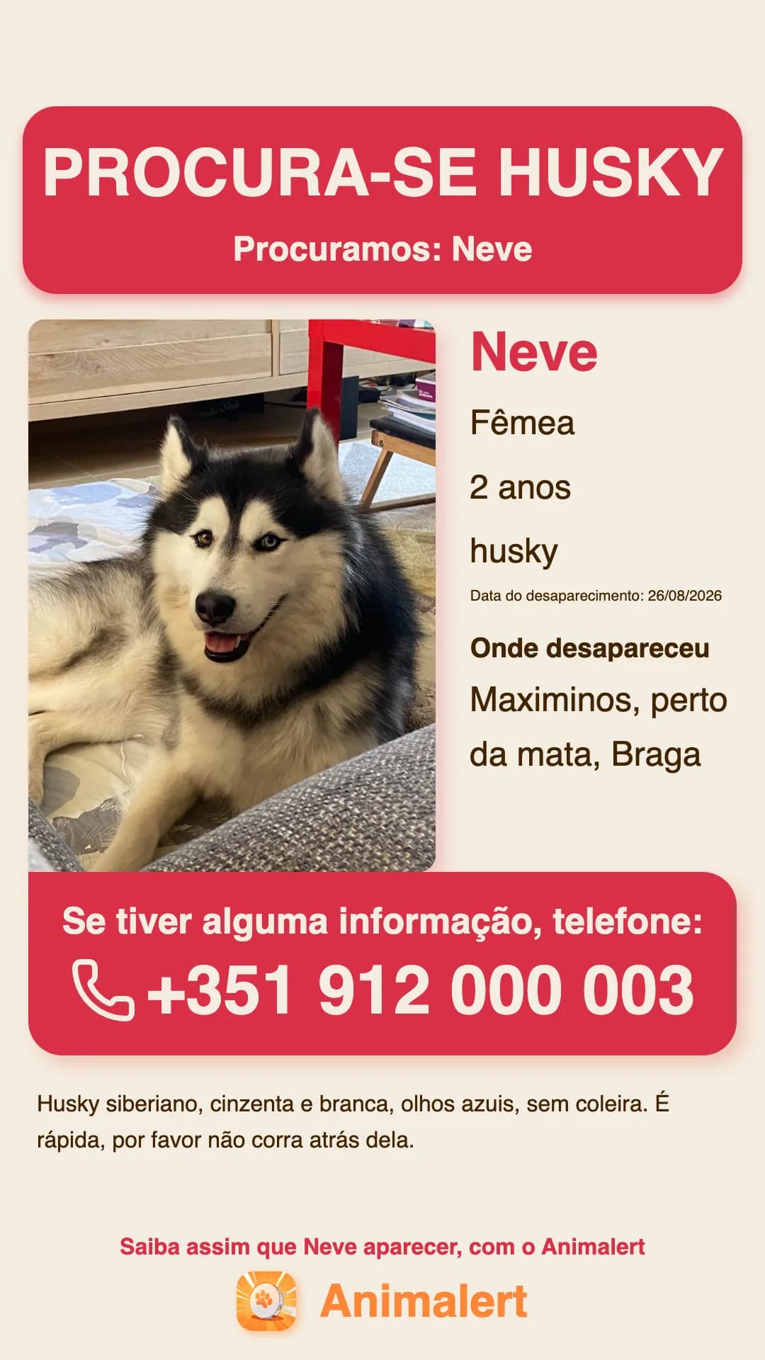 Cartaz de husky desaparecido para imprimir, exemplo de Braga