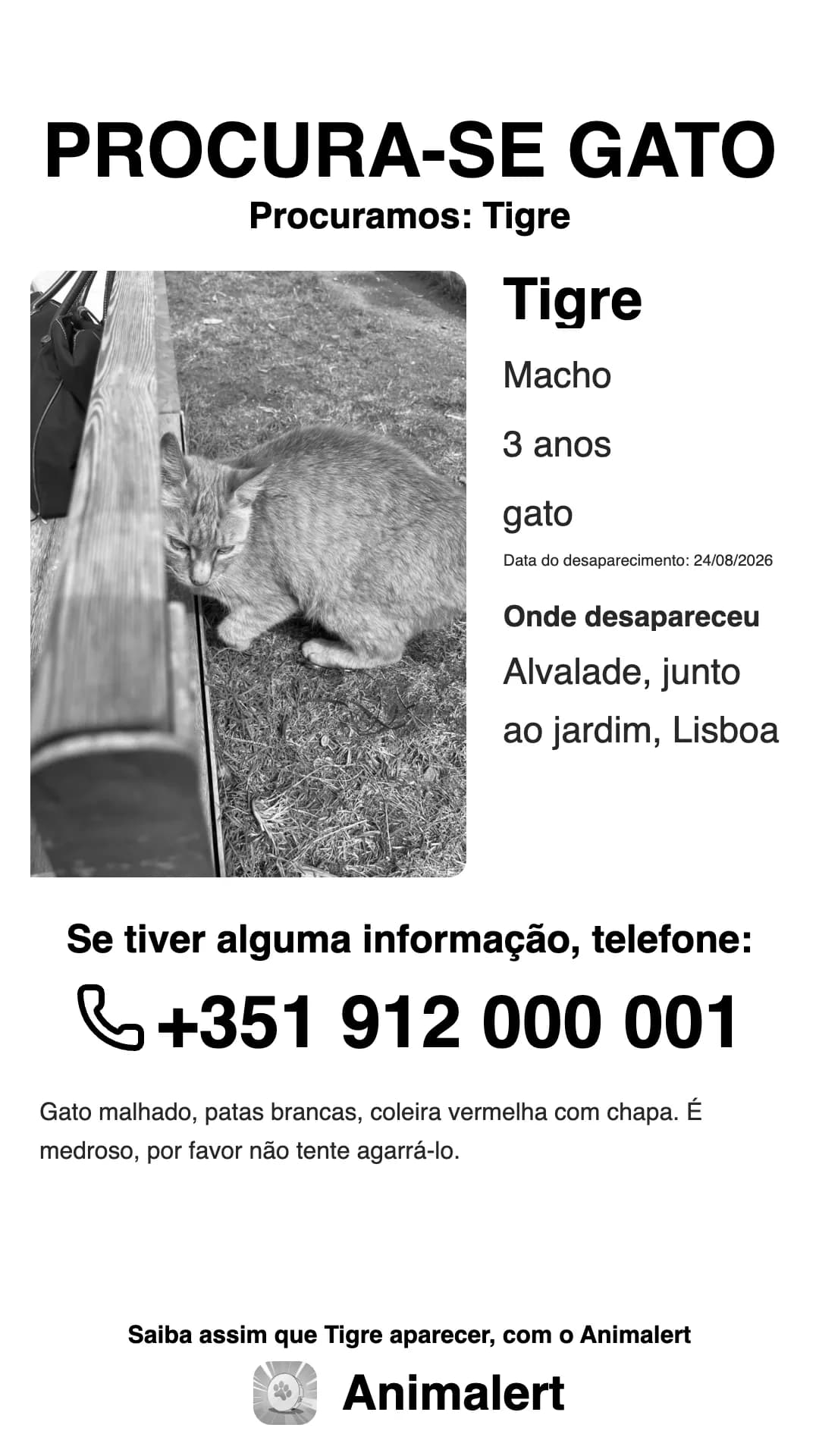 Cartaz de gato desaparecido a preto e branco para a impressora de casa