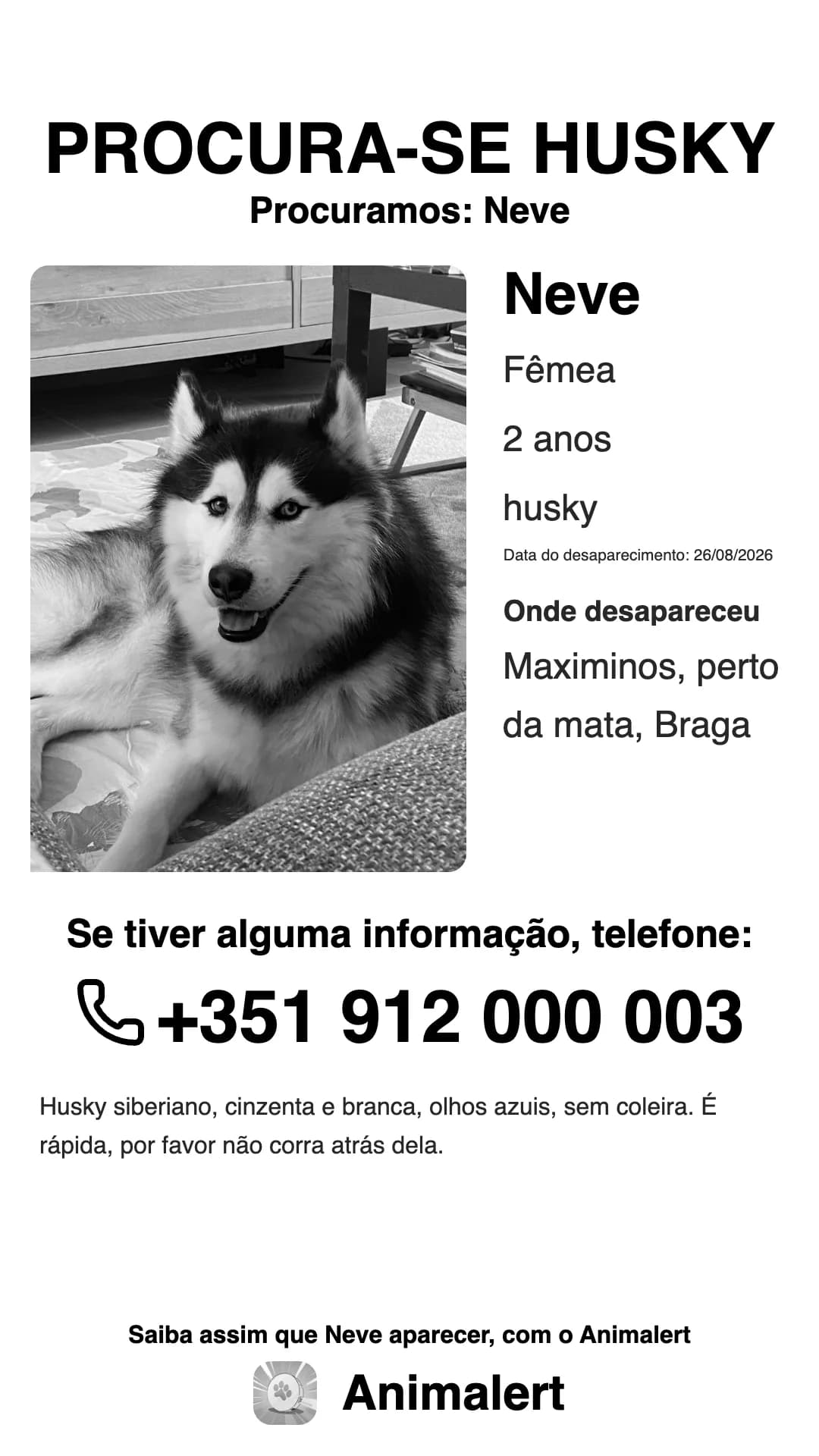 Cartaz de husky desaparecido a preto e branco para a impressora de casa