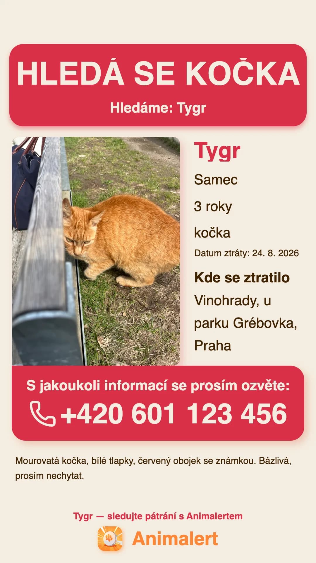 Leták na ztracenou kočku k vytisknutí, ukázka z Prahy