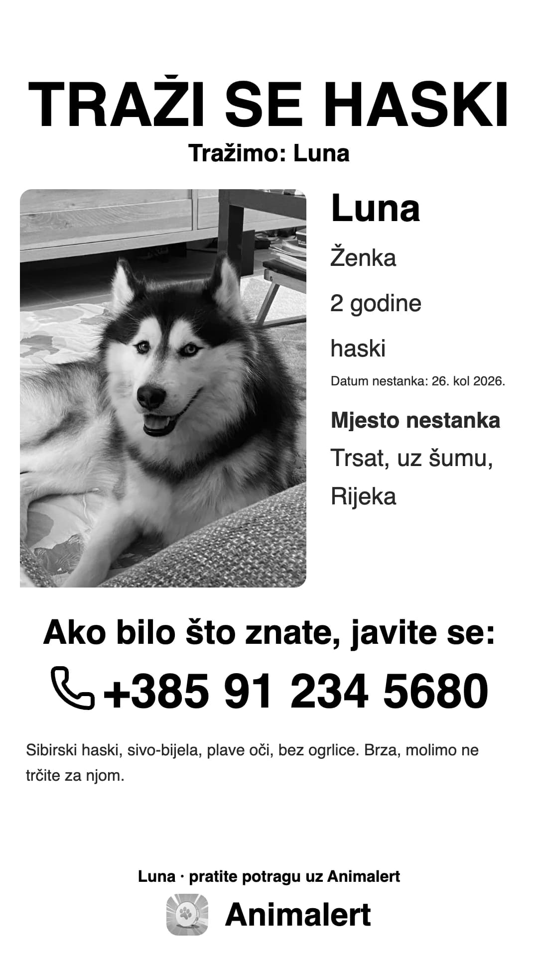 Crno-bijeli plakat za izgubljenog haskija za kućni pisač