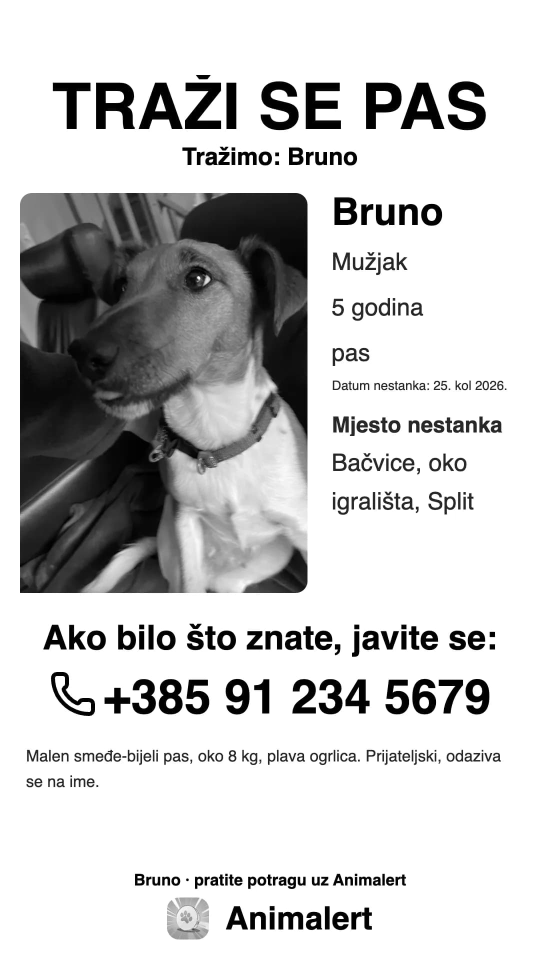 Crno-bijeli plakat za izgubljenog psa za kućni pisač