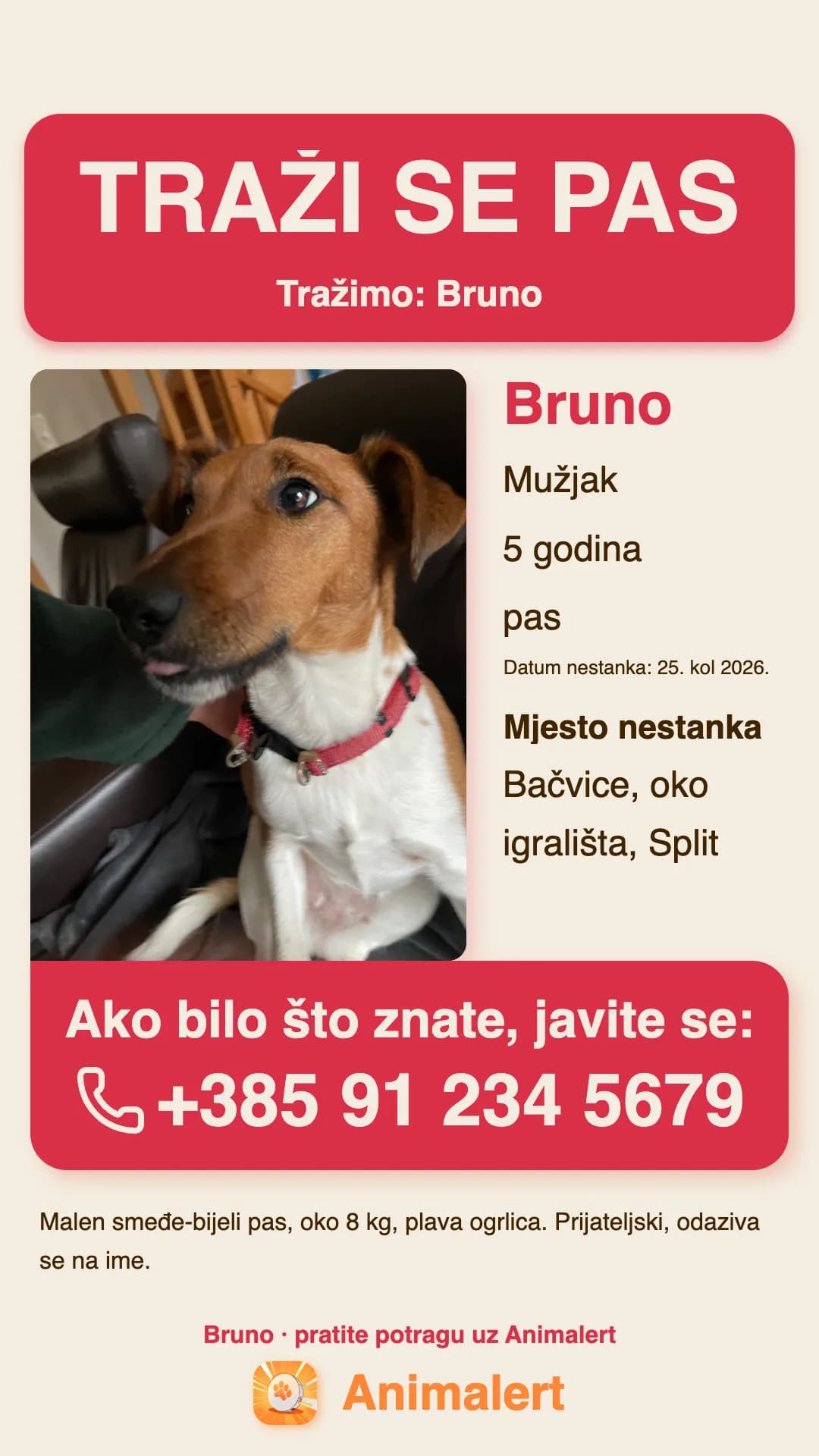 Plakat za izgubljenog psa za ispis, primjer iz Splita