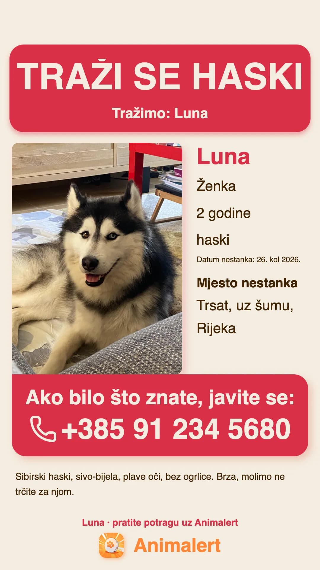 Plakat za izgubljenog haskija za ispis, primjer iz Rijeke