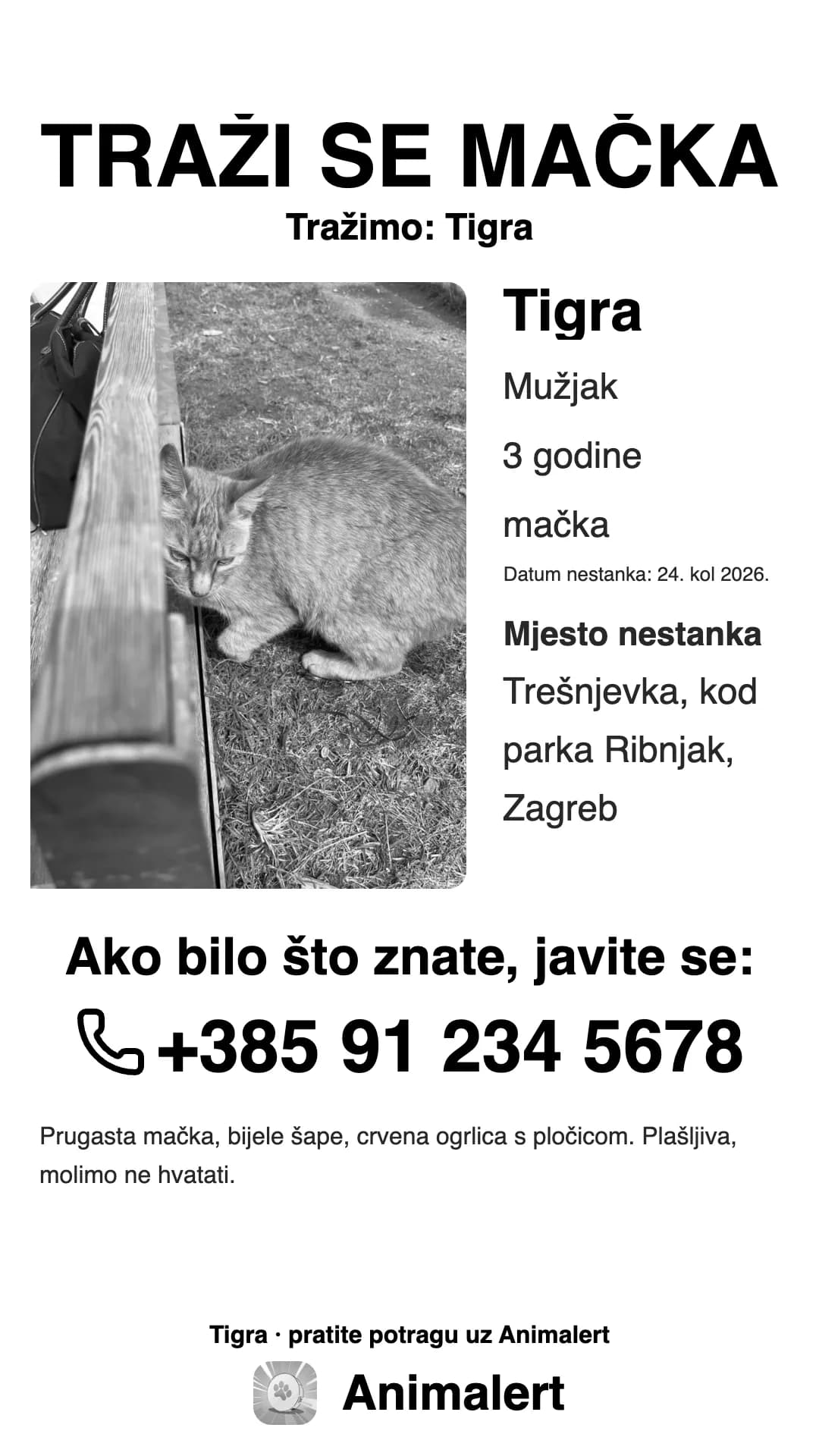Crno-bijeli plakat za izgubljenu mačku za kućni pisač