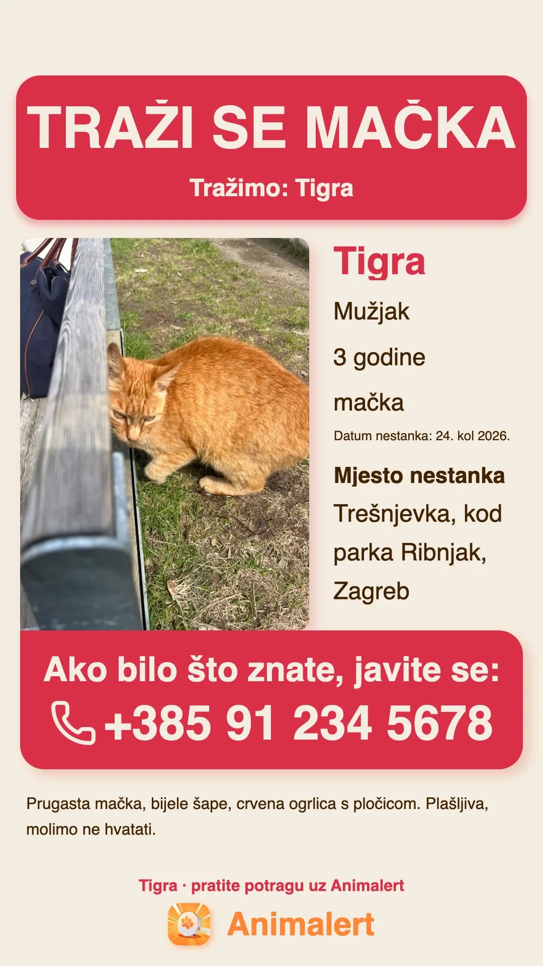 Plakat za izgubljenu mačku za ispis, primjer iz Zagreba