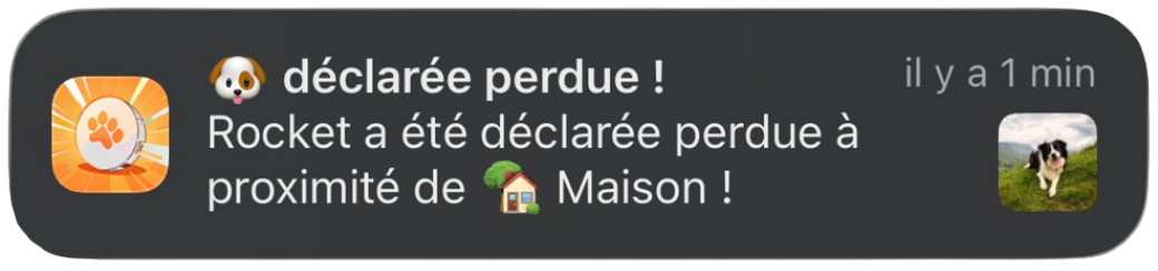Widget chien perdu iOS Android