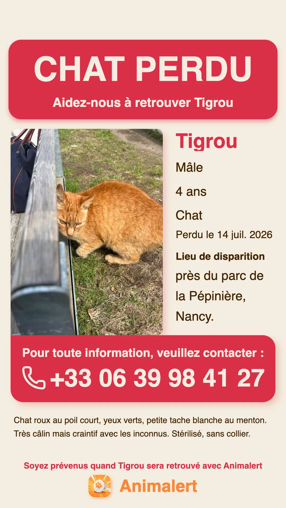 Lost cat poster made with Animalert: Tigrou, a ginger tabby cat missing in Nancy, free colour template to print