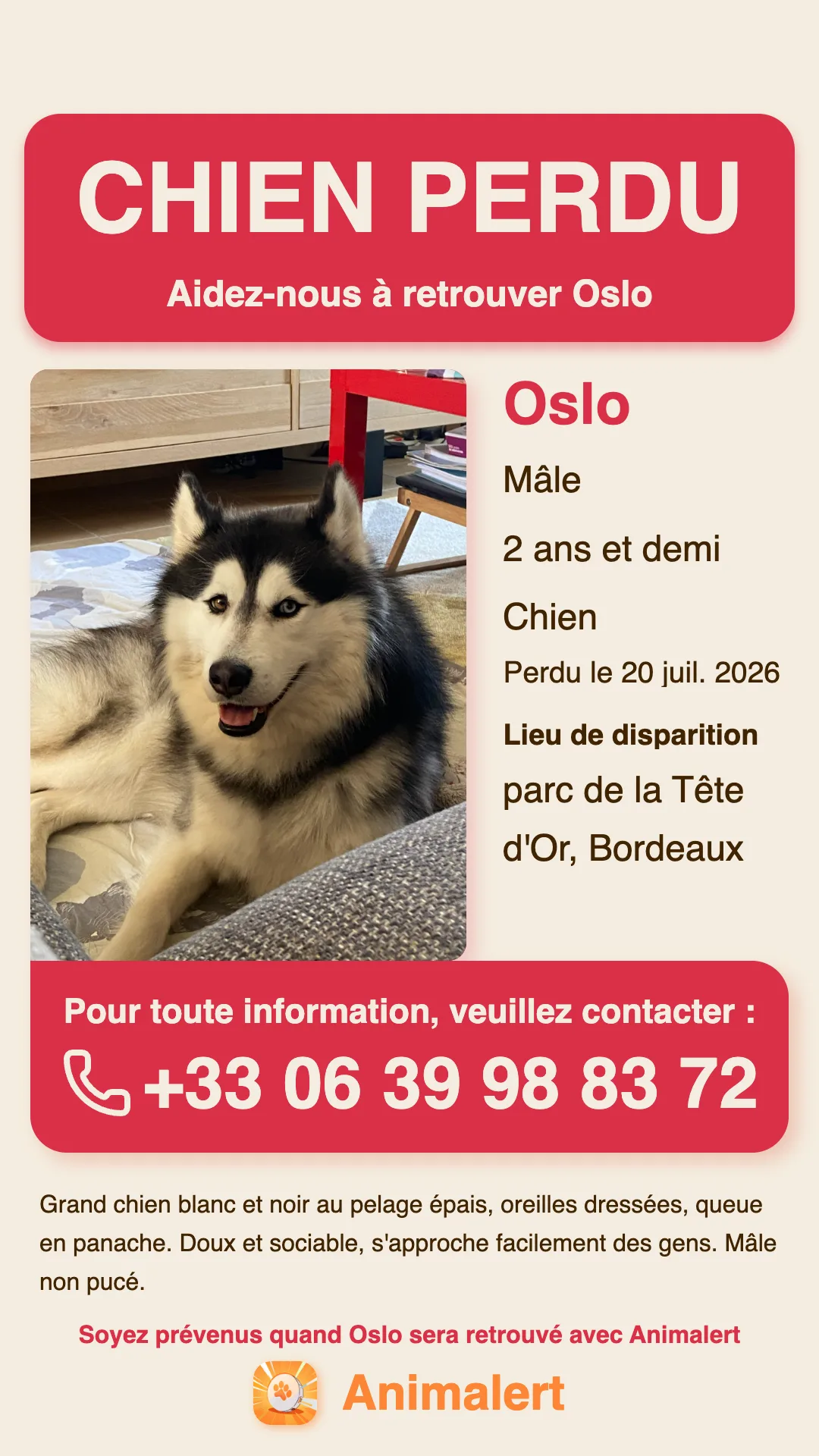 Printable lost dog poster: Oslo, a husky missing in Bordeaux, free colour Animalert template