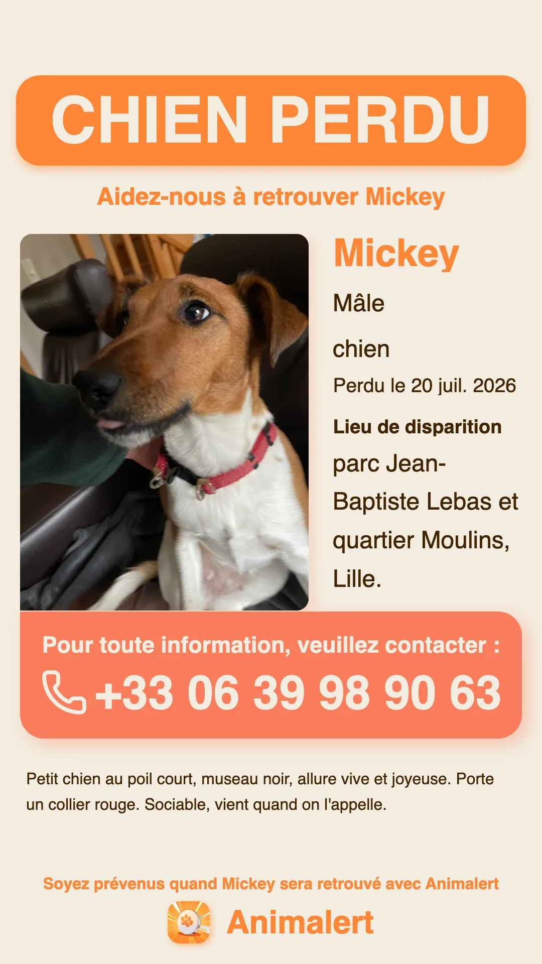 Lost dog poster made with Animalert: Mickey, a small red-collared dog missing in Lille, free colour template